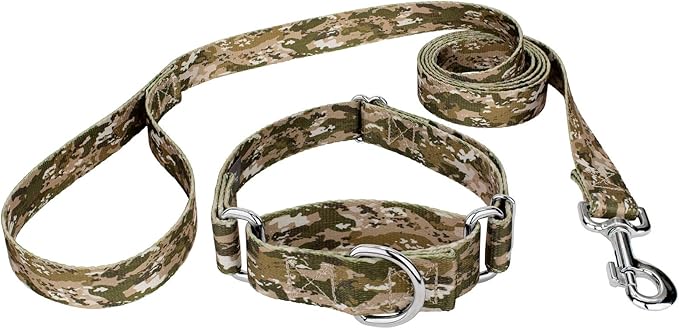 Country Brook Petz - Desert Viper Camo Martingale Dog Collar and Leash - Camouflage Collection Featuring Rugged Designs (1 Inch, Large)