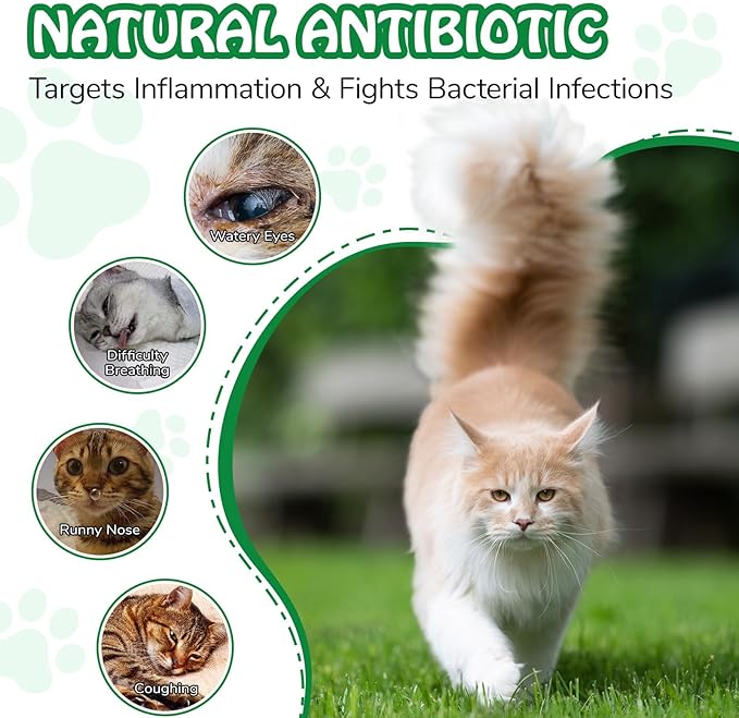 Antibiotics for Cats, Cat Antibiotics for Infections, Supports Immune & Cats Allergy Itch Relief, Health Supplies cat UTI Cat Multivitamin, 60ML