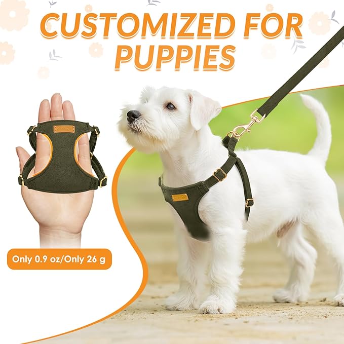SlowTon Dog Harness Small Sized Dog - Soft XXS Dog Harness and Leash Set No Pull No Chock, Adjustable Lightweight Puppy Harness for XS Small Medium Dogs Cats (Solid Military Green, XS)