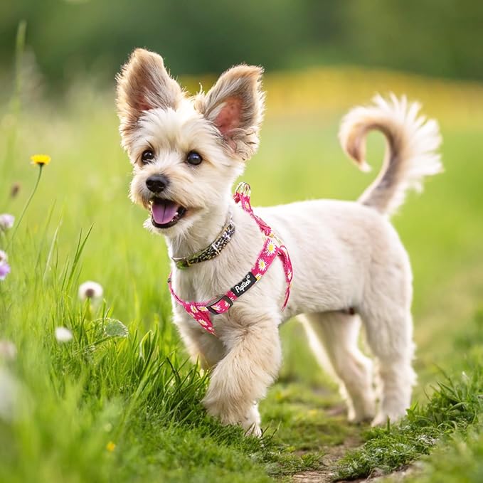 PUPTECK No Pull Dog Harness Soft Adjustable Basic Nylon Step in Puppy Vest Outdoor Walking with ID Tag, Fuchsia Daisy, XS