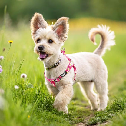 PUPTECK No Pull Dog Harness Soft Adjustable Basic Nylon Step in Puppy Vest Outdoor Walking with ID Tag, Fuchsia Daisy, XS
