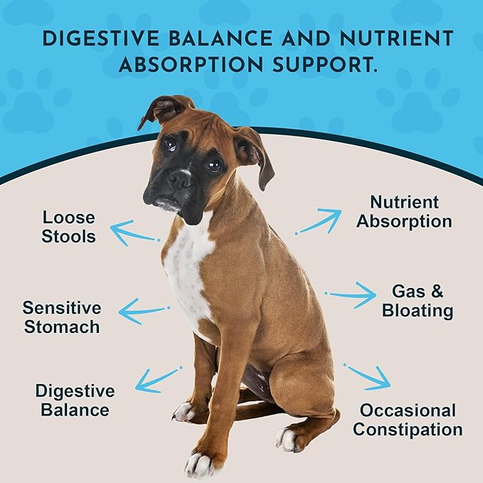 Animal Essentials Plant Enzyme & Probiotics - Probiotics & Digestive Enzymes for Dogs & Cats, Natural Daily Gut & Digestion Support Supplement for Pets, Plant Based - 10.6 oz