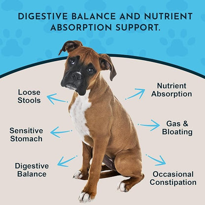 Animal Essentials Plant Enzyme & Probiotics - Probiotics & Digestive Enzymes for Dogs & Cats, Natural Daily Gut & Digestion Support Supplement for Pets, Plant Based - 10.6 oz