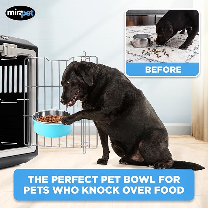 Mirapet's Dog & Cat Bowl Set - Multipurpose Pet Bowls - Premium Quality, Large, Blue
