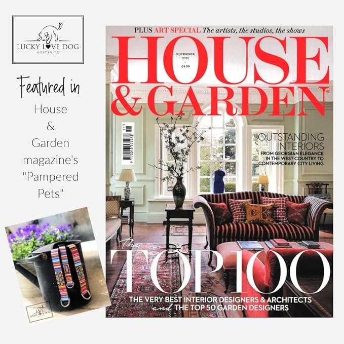 Lucky Love Dog Martingale Dog Collar & Leash - Adjustable, No-Slip, Durable, Comfortable, Soft Webbing, & Stylish Patterned Collar & Leash Set for Male and Female Dogs - Molly Combo, Medium