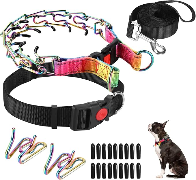 Prong Training Collar With Nylon Cover Comfort Tips and Quick Release Snap Buckle, Classic Collar and Leash for Small Medium Large Dogs
