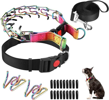 Prong Training Collar With Nylon Cover Comfort Tips and Quick Release Snap Buckle, Classic Collar and Leash for Small Medium Large Dogs