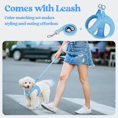 rabbitgoo Dog Harness Small Sized and Leash Set, Step in Soft Light Puppy Vest, Breathable Mesh Pet Harness, Reflective for Safe Easy Walking, Blue S