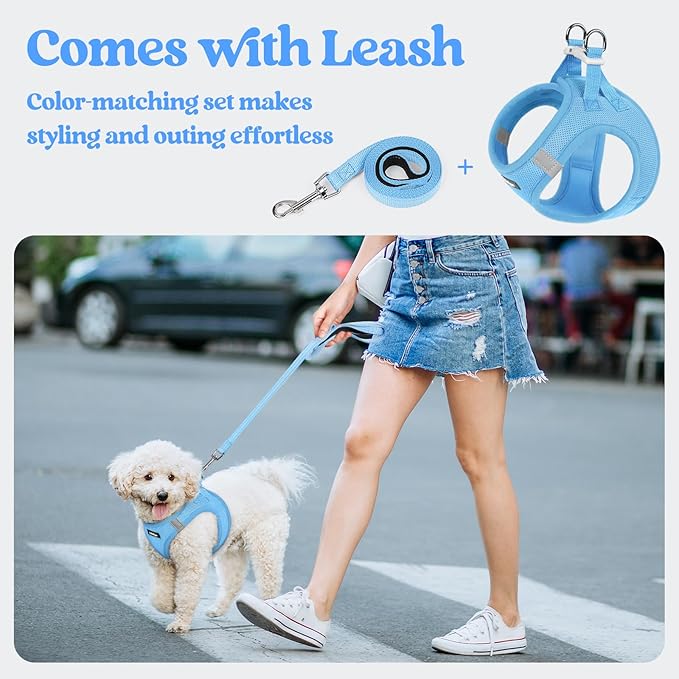rabbitgoo Dog Harness Small Sized and Leash Set, Step in Soft Light Puppy Vest, Breathable Mesh Pet Harness, Reflective for Safe Easy Walking, Blue XXS