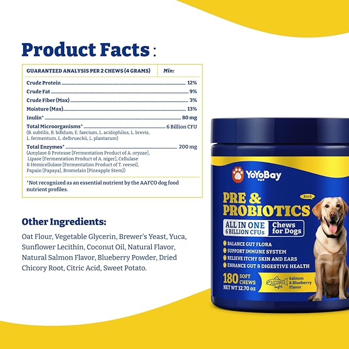 Probiotics for Dogs - Dog Probiotics for Gut, Immune & Skin Health - 6 Billion CFUs, 180 Soft Chews, Salmon & Blueberry Flavor - with Prebiotics & Digestive Enzymes