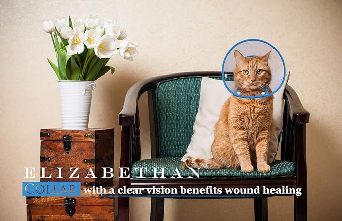 Cat Cone Collar, to Stop Licking, Recovery Elizabethan After Surgery, Clear Soft Neck E-Collar, Not Block Vision, for Kitten Puppy Dog Pet in Surgery Remedy - M in Blue