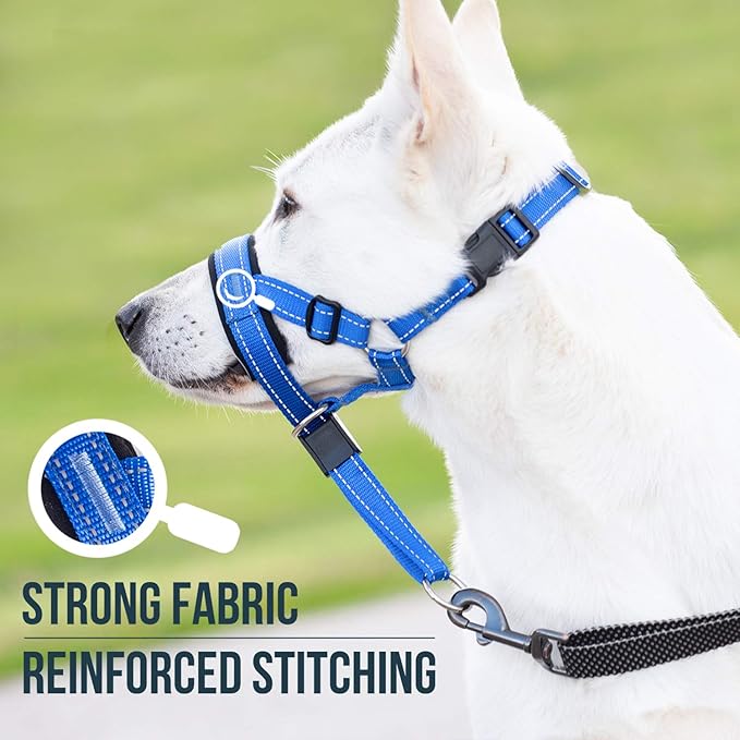 GoodBoy Dog Head Halter with Safety Strap - Stops Heavy Pulling On The Leash - Padded Headcollar for Small Medium and Large Dog Sizes - Head Collar Training Guide Included (Size 2, Blue Nylon)