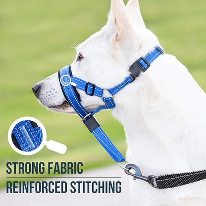 GoodBoy Dog Head Halter with Safety Strap - Stops Heavy Pulling On The Leash - Padded Headcollar for Small Medium and Large Dog Sizes - Head Collar Training Guide Included (Size 2, Blue Nylon)