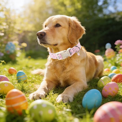 Unique style paws Dog Collar Plastic Buckle with Pendant Puppy Collar for Easter Carrot Rabbit for Small Medium Large Boys Girls Dogs