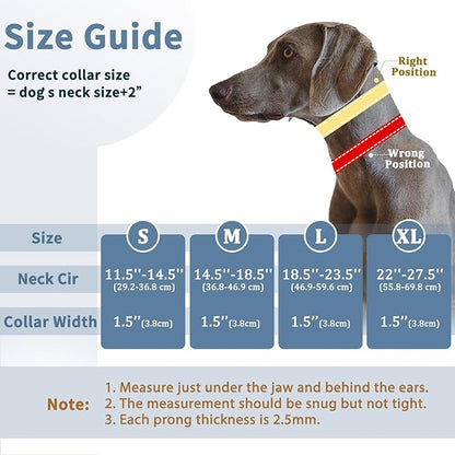 Mayerzon No Pull Dog Collar, Patented Martingale Collar for Small Medium Large Dogs with Buckle and Heavy Duty Nylon for Walking Training Hunting, Safe and Easy to Use(XL, Green)