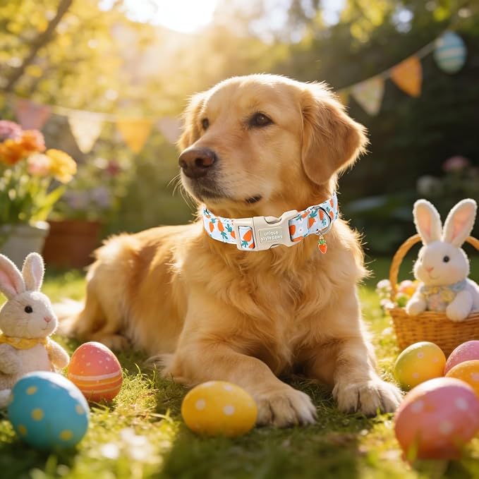 Unique style paws Dog Collar Plastic Buckle with Pendant Puppy Collar for Easter Flower Carrot for Small Medium Large Boys Girls Dogs