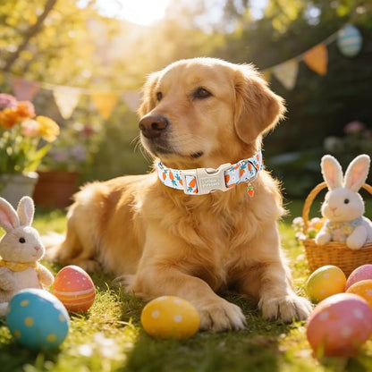 Unique style paws Dog Collar Plastic Buckle with Pendant Puppy Collar for Easter Flower Carrot for Small Medium Large Boys Girls Dogs