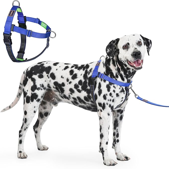 Freedom No Pull Dog Harness for Large Dogs, Easy Walker, Anti Pull with Two Stainless D-Rings, Comfortable, Sewn-in Instructions Tags for Easy Use (Blue, XL)