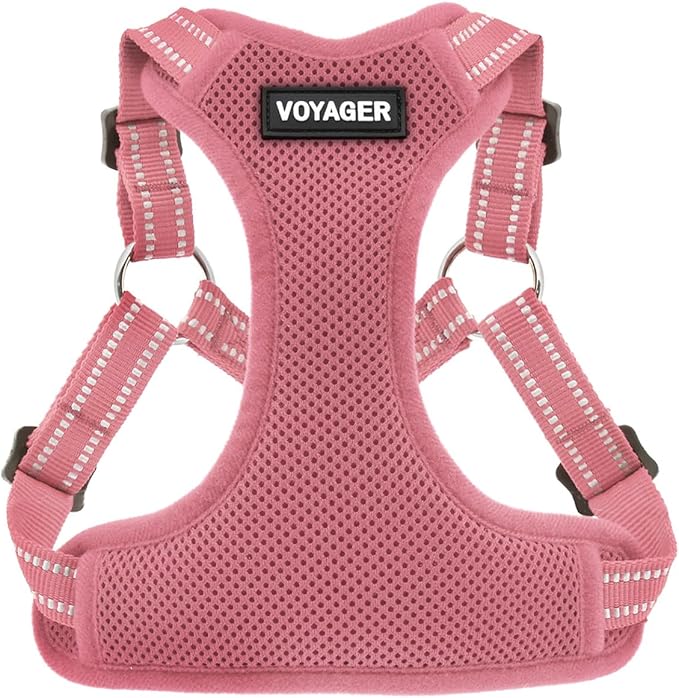 Best Pet Supplies Voyager Adjustable Step-in Flex Breathable Mesh Dog Harness for Small Medium Large Dogs (Pink), XL