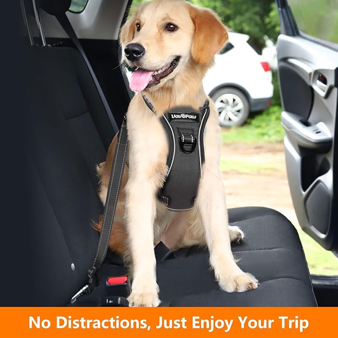 VavoPaw Dog Seat Belt Harness for Car, Dog Car Harness Adjustable Mesh Breathable & Dogs Seatbelt Safety Tether with Elastic Bungee for Small Medium Large Pets(Carbon Black, L)