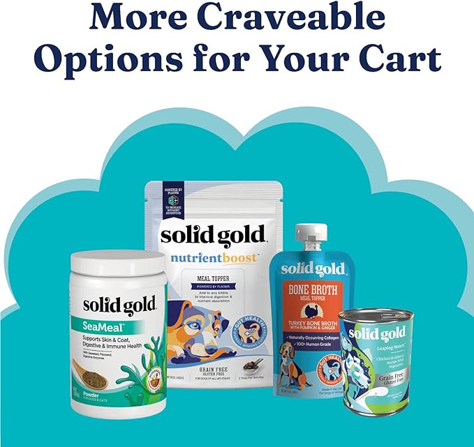 Solid Gold Sensitive Stomach Dog Food for Adult & Senior Dogs - Grain Free Healthy Dog Food w/Real Quail, Pumpkin, Fiber & Probiotics for Gut Health & Digestion - Kibble for Sensitive Stomachs - 24LB