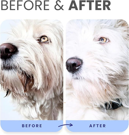Lillian Ruff PRO Formula Berry Blue Brightening Dog Shampoo & Conditioner Set - Professional Show-Quality Whitening, Stain & Odor Eliminator, Hydrating Relief for Dry Skin, ProVitamin B5, USA Made