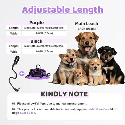 Double Dog Leash - 360°Swivel Tangle Free Splitter Attachment, 1 Rope with Handle, 2 Dogs Multi-Functional Leash, for Outdoor Walk Train Small Medium Large Two Pet, Purple