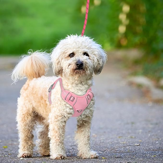 BARKBAY No Pull Dog Harness Large Reflective Dog Harness with Front Clip and Easy Control Handle for Walking Training Running with ID tag Pocket(Baby Pink,S)