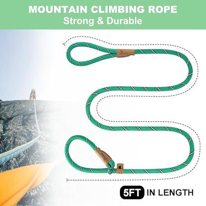 5 FT Slip Lead, Heavy Duty Rope Dog Leash for Small Medium Large Dogs, No Pull Training Lead with Reflective Thread, Strong Comfortable Loop Leash (Green Stripe, Medium(3/8"))