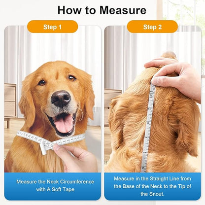 Cone Pet Cone (Blue, L(15.5"-17.8"))