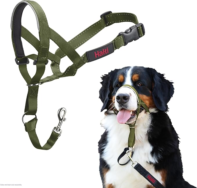 Halti Headcollar - Stop Your Dog Pulling on The Leash. Adjustable, Reflective and Lightweight, with Padded Nose Band. Dog Training Anti-Pull Collar for Large Dogs (Size 4, Forest Green)