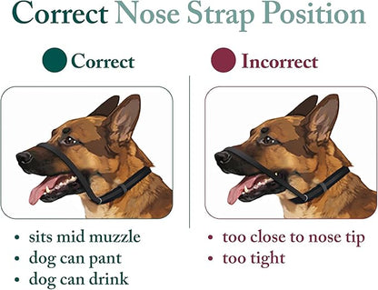 Sporn Head Halter for Dogs, No Pull Dog Harness, Durable Nylon Training Collar for Medium Breeds, No Choke Design, Padded Restraints, Adjustable Fit, Easy On/Off, Black, Medium