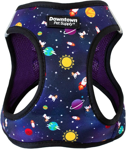 Downtown Pet Supply Step-in Dog Harness – No Pull, Adjustable Padded Mesh with Reflective Trim, Secure Buckle Strap – Comfortable & Breathable Small Dog Harness, X-Small, Space