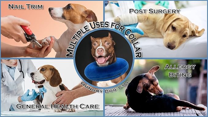 Hungry Dog Co.- Premium Inflatable Dog Collar for Dogs and Cats - Helps in Pet Recovery - Comfortable and Safe for Your Pet - Soft E-Collar – Blue, Large (12”- 18” Neck)