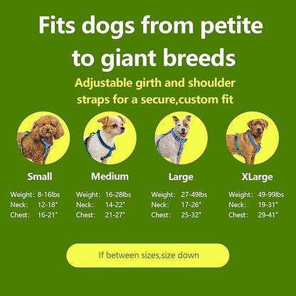 Roses&Poetry Dog Harness Small Sized Dog, 6 Point Adjustable Fit No Pull Harness with Handle for Control and Easy Walking, Reflective Pet Halter Harnesses（Bluegreen-S）