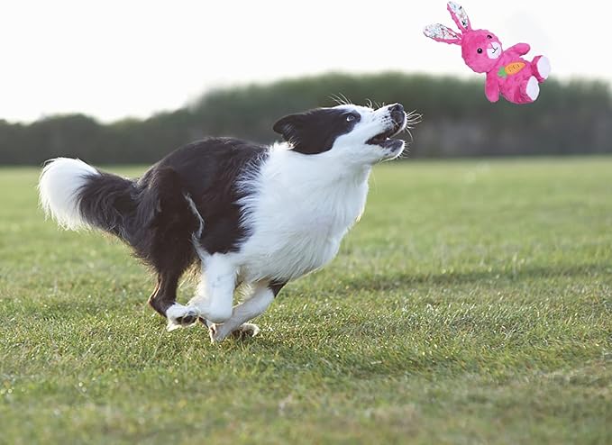 DODODOLA Stuffed Dog Toys Durable Plush Dog Toy with Crinkle Paper Cute Elephant Squeaky Dog Toys Dog Chew Toys for Medium Large Breed (Pink Rabbit)