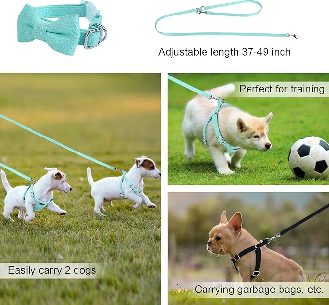 Dog Harness and Leash Set, XXS No Pull Adjustable Puppy Harness with Multifunction Pink Dog Leash and Dog Collar, Soft No Choke Escape Proof Pet Harness Vest for Small Dogs and Cats (Mint Green, XS)