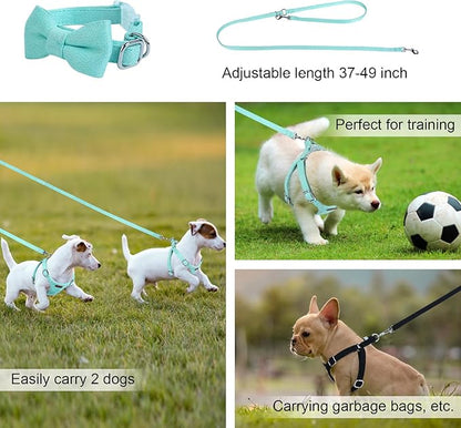 Dog Harness and Leash Set, XXS No Pull Adjustable Puppy Harness with Multifunction Pink Dog Leash and Dog Collar, Soft No Choke Escape Proof Pet Harness Vest for Small Dogs and Cats (Mint Green, XS)
