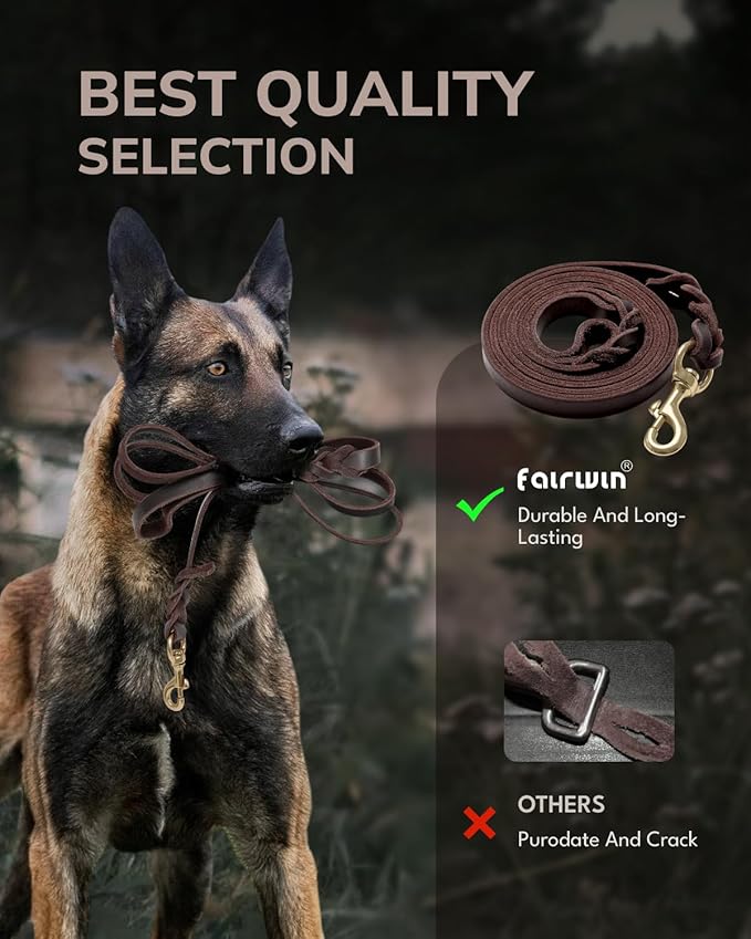 FAIRWIN Braided Leather Dog Leash 6 Foot - Dog Training Leash for Large Medium Small Dogs (Brown, S:1/2" x 6ft)