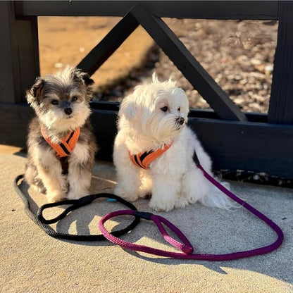 Gooby Mesh Leash - Blue, 4 FT - Breathable Mesh 4 Foot Leash for Small Dogs with Bolt Snap Clasp - On The Go Dog Leashes for Small, Medium, and Large Dogs