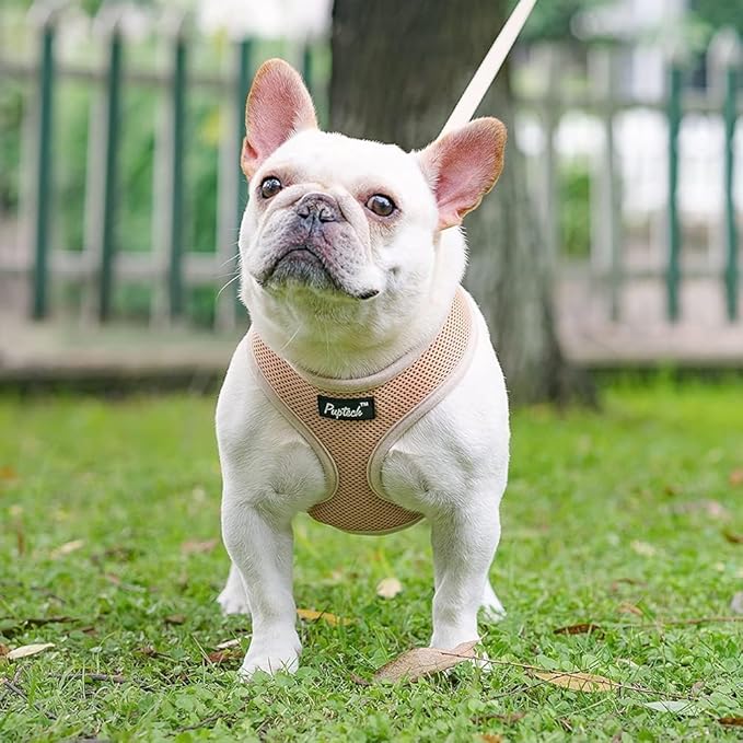 PUPTECK Soft Mesh Dog Harness and Leash Set Pet Puppy Cat Comfort Padded Vest No Pull Harnesses, Solid Beige, S