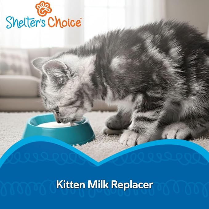 Revival Animal Health Shelter’s Choice Kitten Milk Replacer Powder, Complete and Balanced Milk Formula for Kittens and Adult Cats, Supports Healthy Growth and Digestion, 8 lb