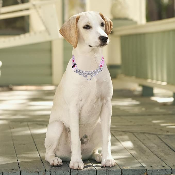 Martingale Dog Collar with Stainless Steel Chain - Limited Chain Cinch Training Collar for No Pull Training Dog - Flower Multicolor Cute Patterns - Premium No Slip Collar (L, Roses)