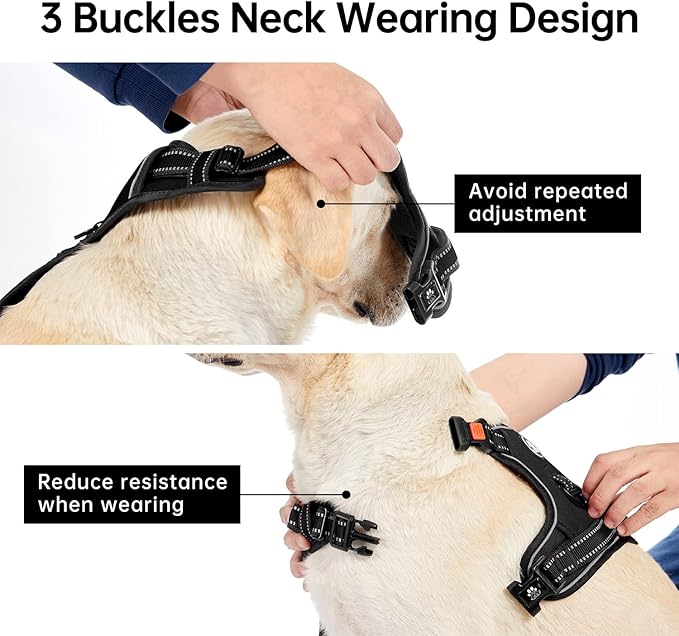 IVY&LANE No Pull Dog Harness for Small Dogs, Dog Vest Harness with Leash, Safety Belt and Storage Strap, Fully Adjustable Harness, 360° Reflective Strip, Soft Handle (Black, XS)
