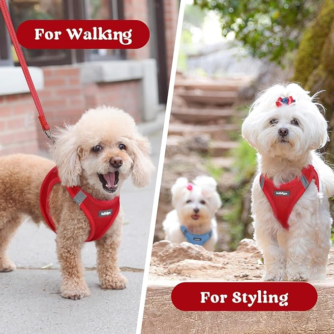 rabbitgoo Small Dog Harness, Step-in Soft Mesh Puppy Vest with Safety Buckle, Breathable Reflective Pet Harness for Large Dogs, Red XXL