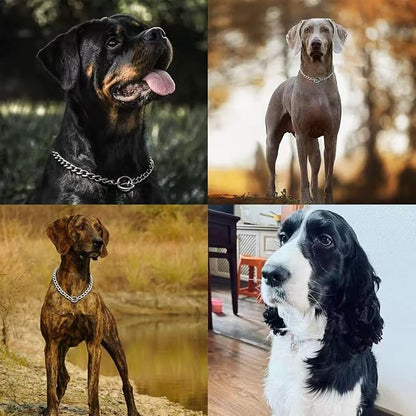 Dog Choke Collar Slip P Chain,Heavy Duty Metal Training Choke Collars, Adjustable Weather Proof Alloy Steel Chains for Small Medium Large Dogs