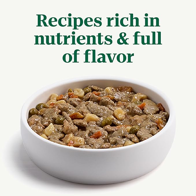 Nutro Adult Wet Dog Food, Natural Grain Free Dog Food Wet Cuts in Gravy Savory Lamb & Vegetables Stew Recipe, 3.5 oz. Trays (Pack of 24)