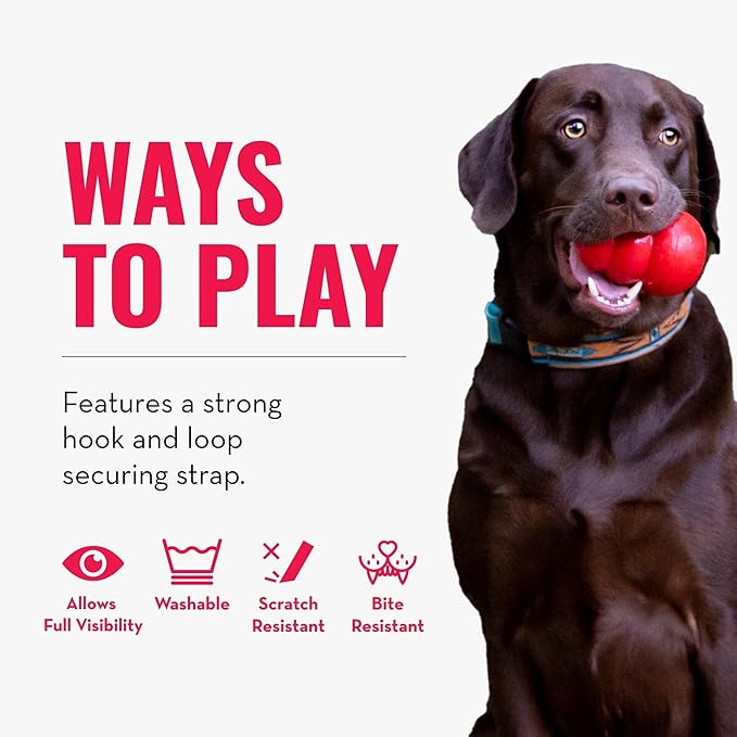 KONG Cloud E-Collar for Cats and Dogs, Small