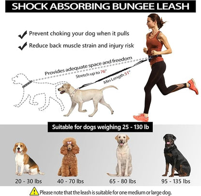Hands Free Dog Leash, Waist Running Leash with Zipper, Walking Pouch for Medium Large Dogs, Dual Handle and Retractable Bungee for Training Jogging Hiking