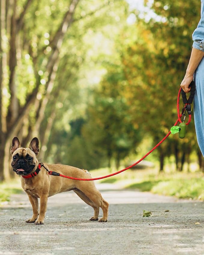 Dynmeow Reflective Dog Collar and Leash Set, 6FT Strong Climbing Rope Leash with Padded Handle, Adjustable Pet Collar with Soft Neoprene Padding for Small Medium Dogs, Red, S